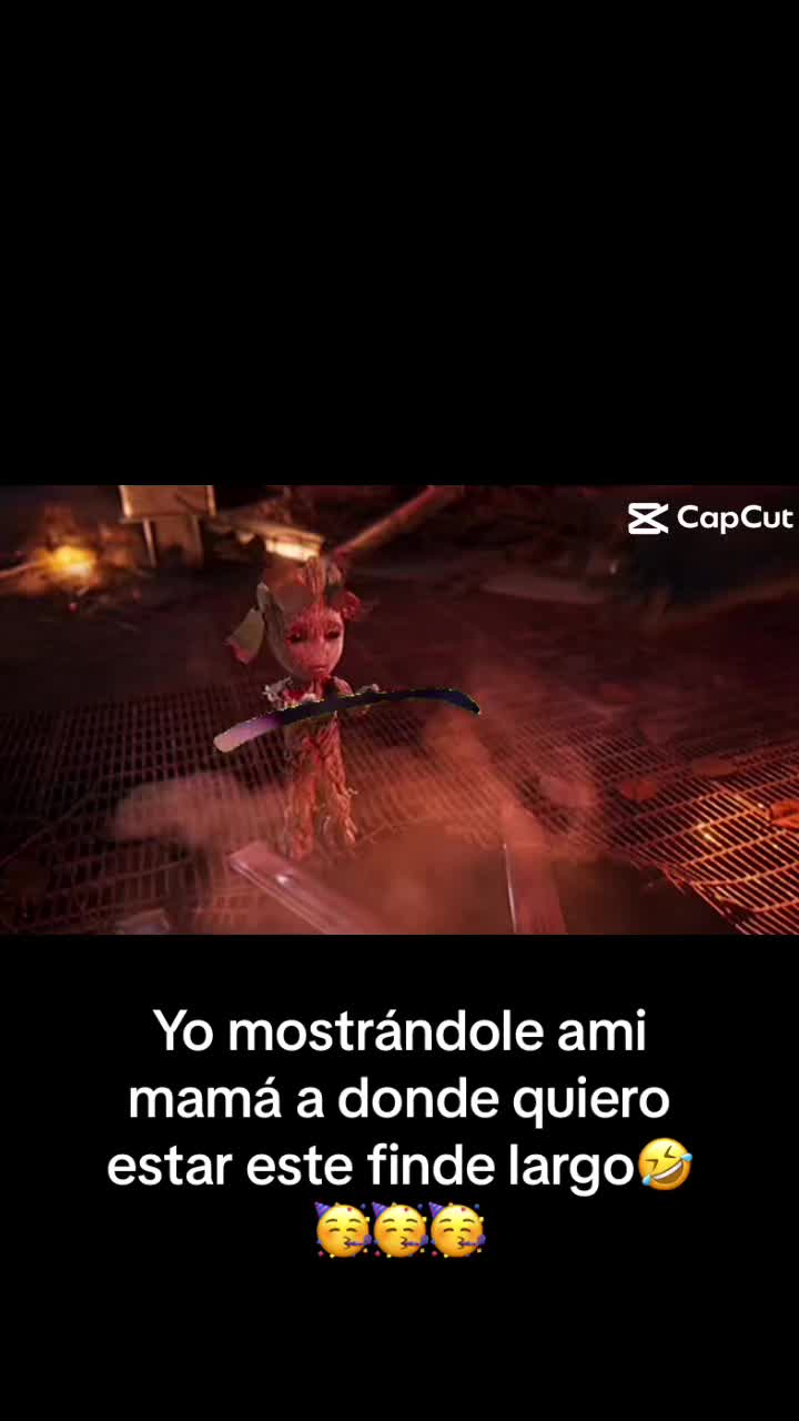 @Camii Taddei