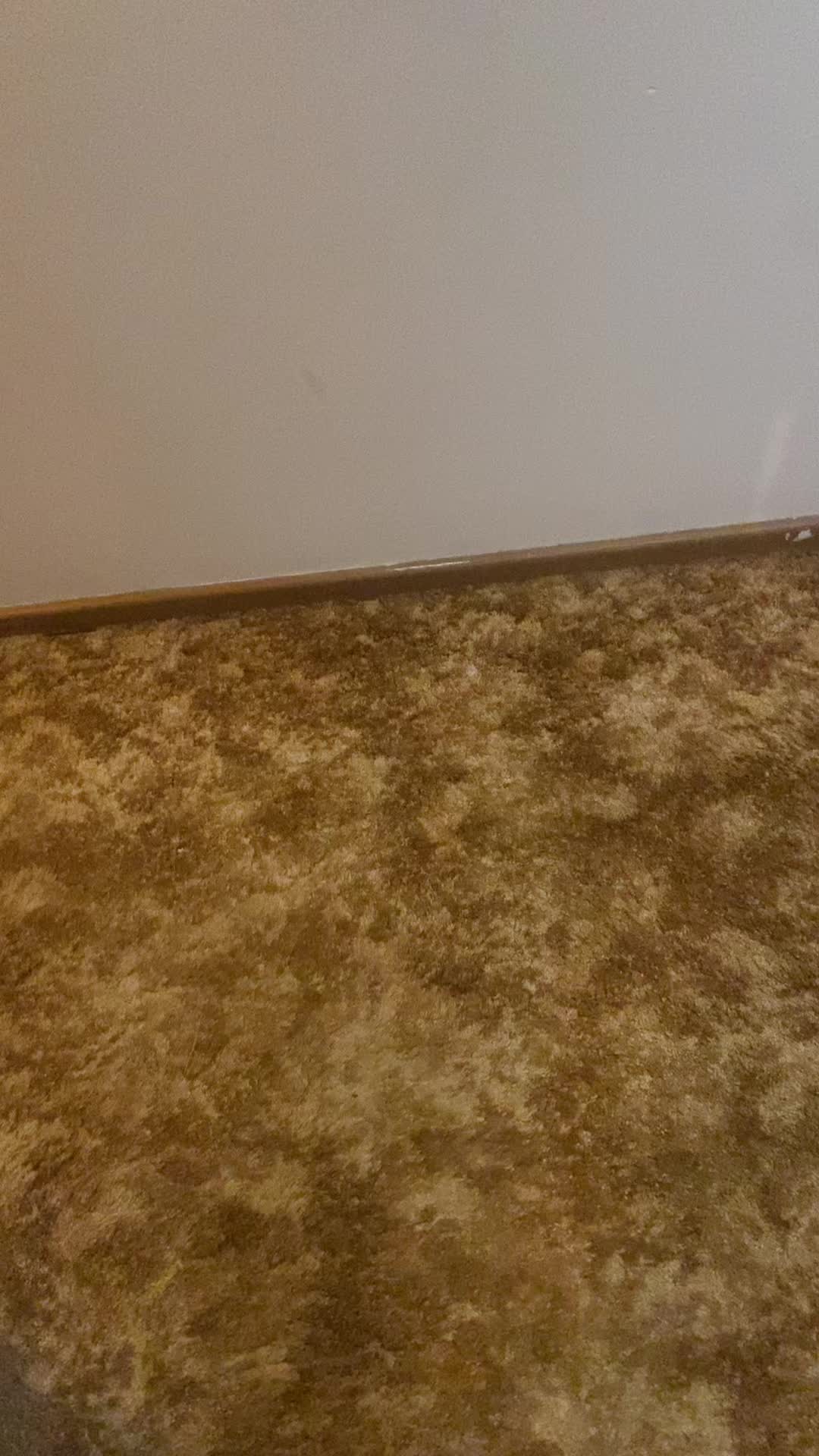 @Ali.c