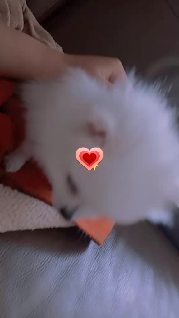 @♥가을이네♥