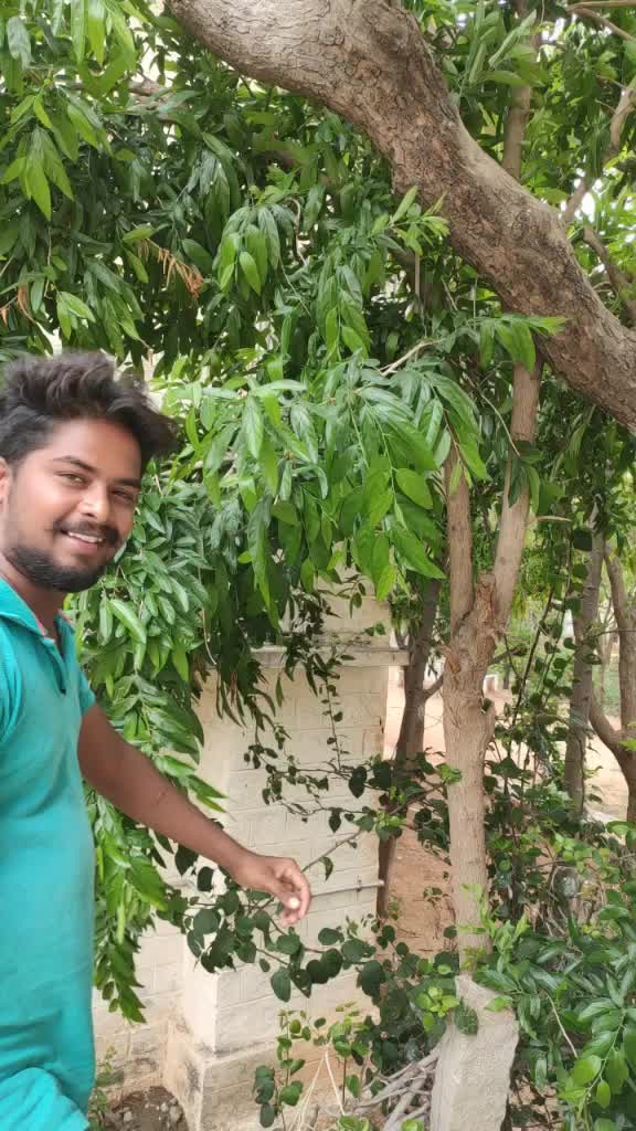 @Daya Royal