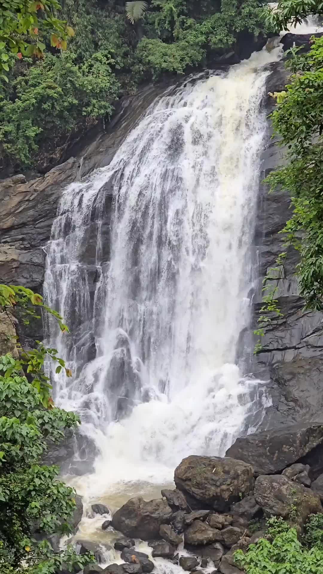@Incredible India