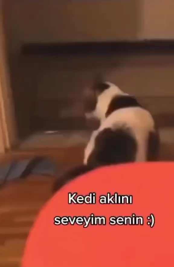 @Soner Demir