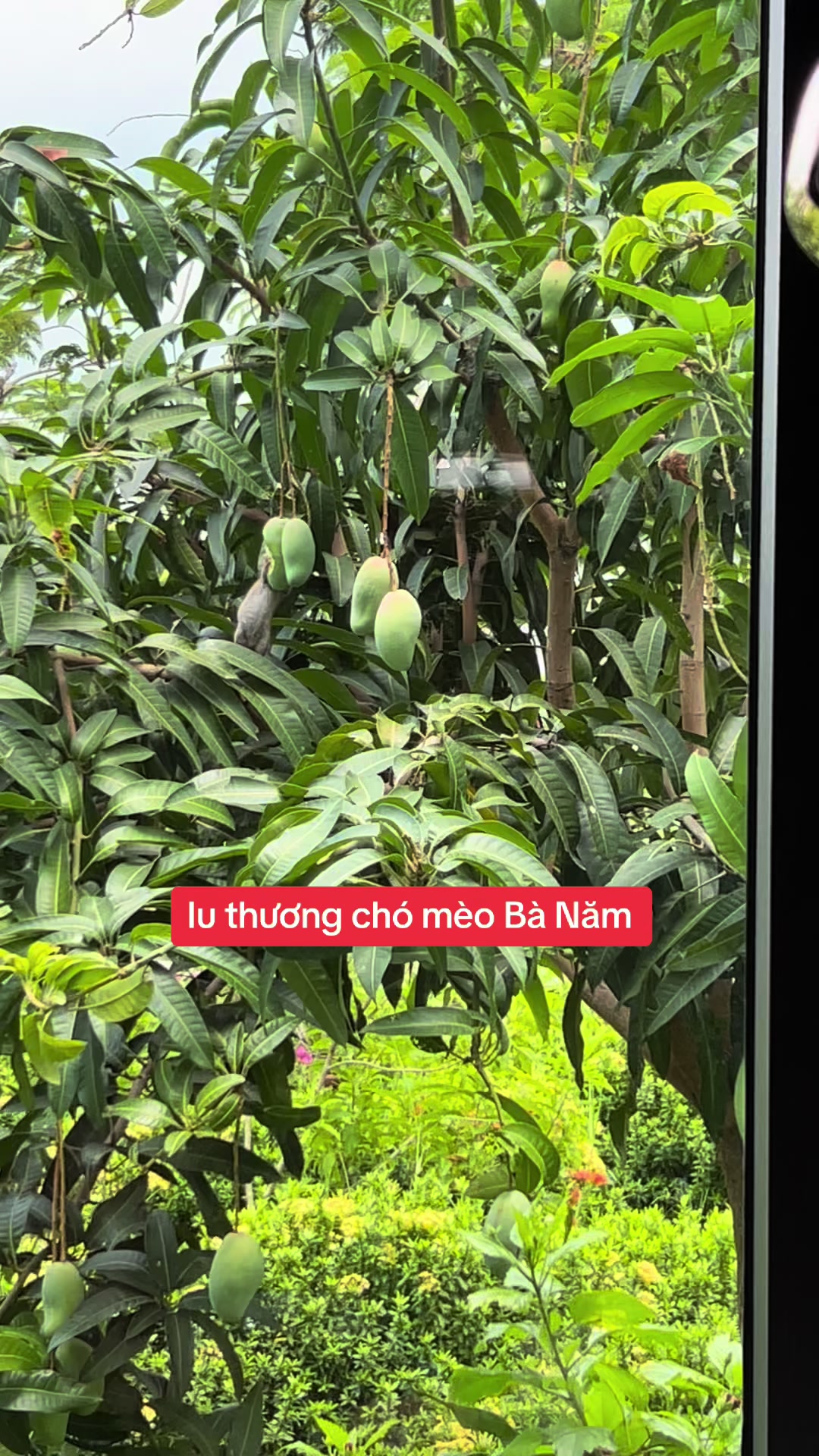 @yeuthuongchomeoba5