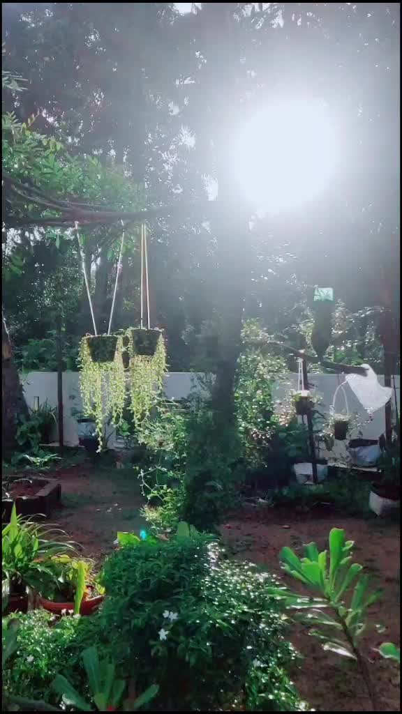 @Aswin G Ashok
