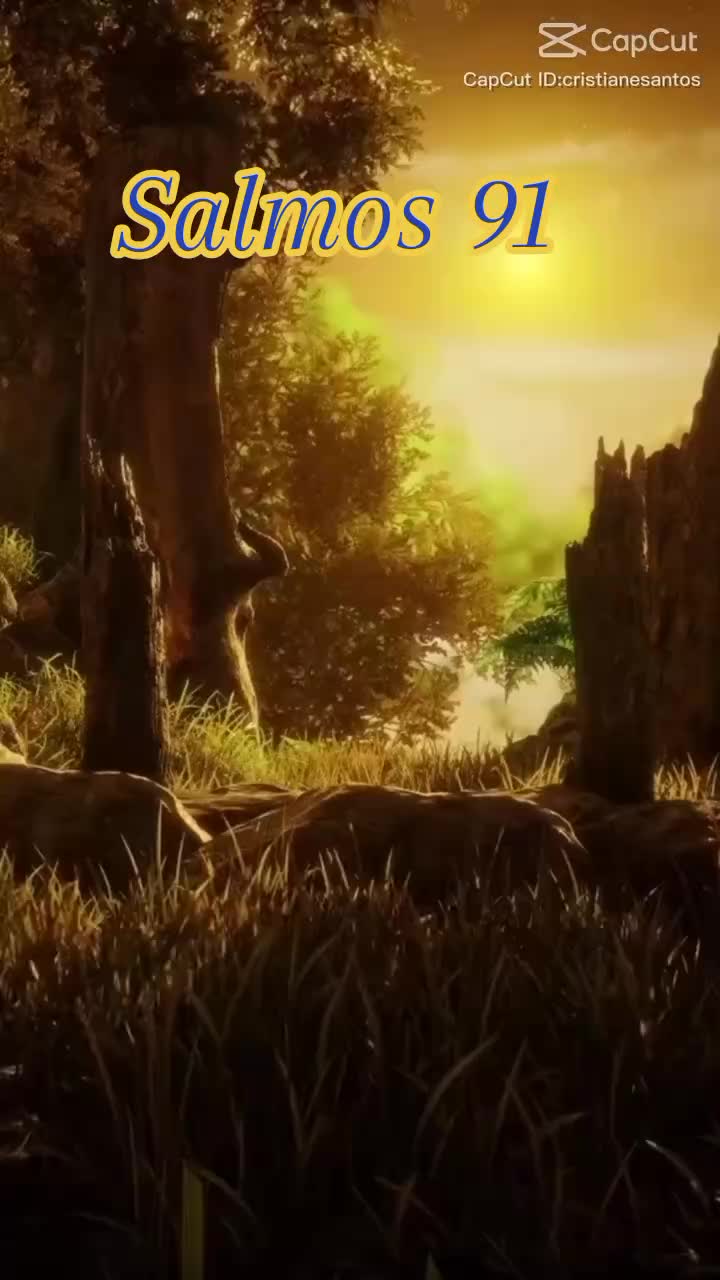 @Marc&atilde;o