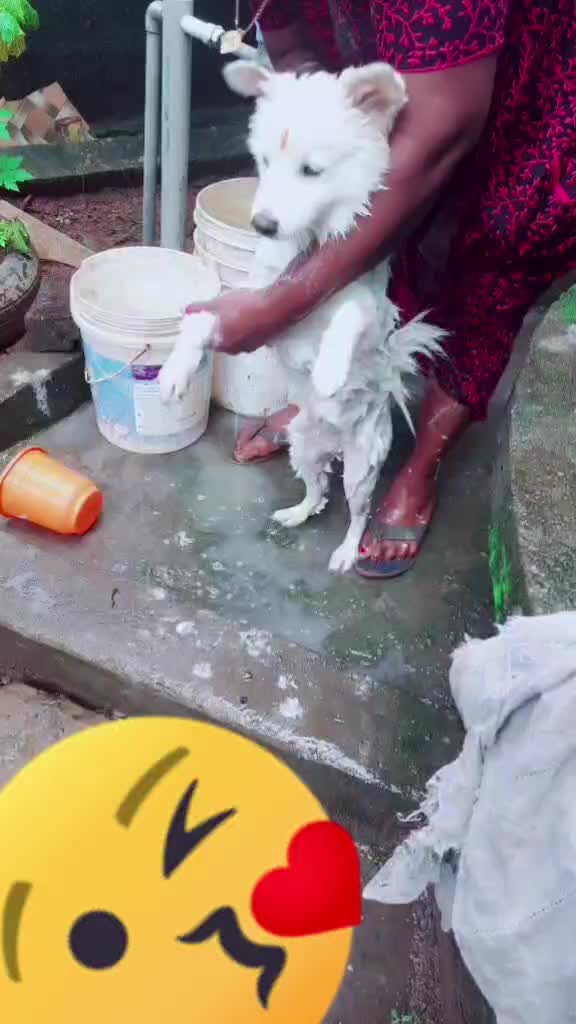 @🌀കാന്താരി🌀വായാടി🌀