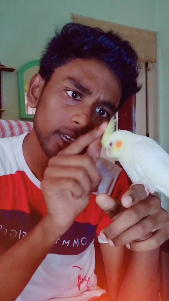 @abbuji mohamed