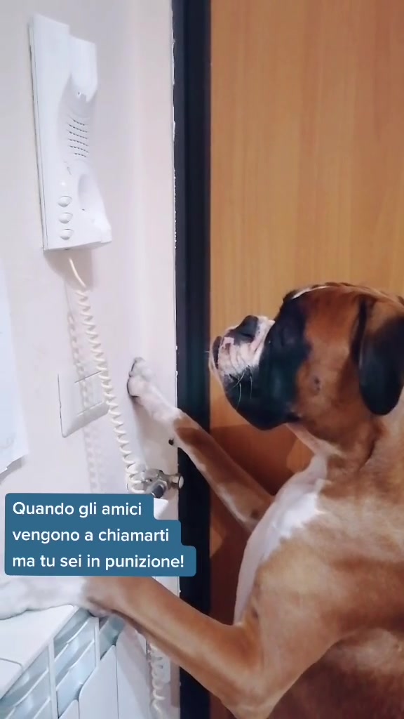 @Sara Vasconvolta