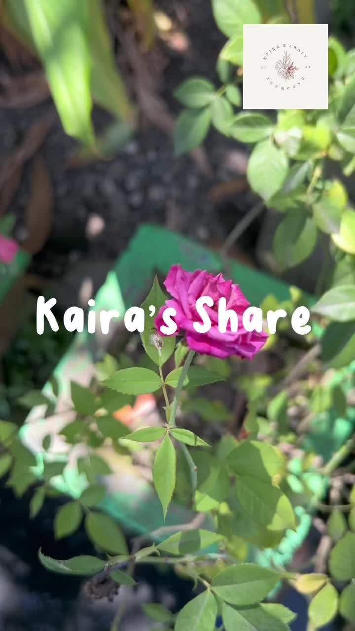 @Kairas Craft