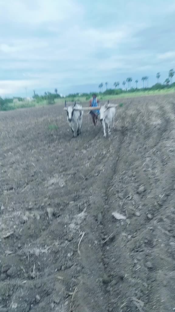 @Muthu Kalai