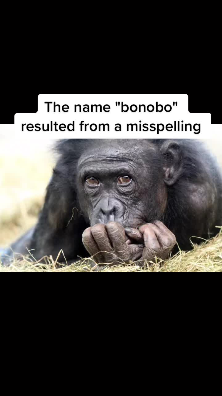 @Did you know that