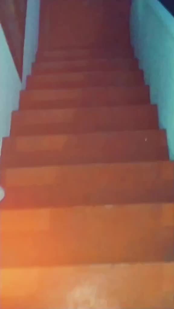 @peeli_pop
