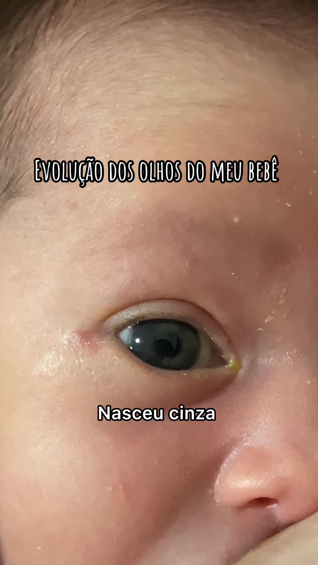 @Conrado Staudt