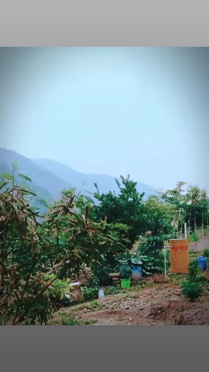 @Drinkingboy