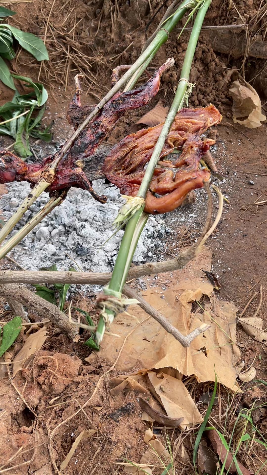 @វិជ្ជា