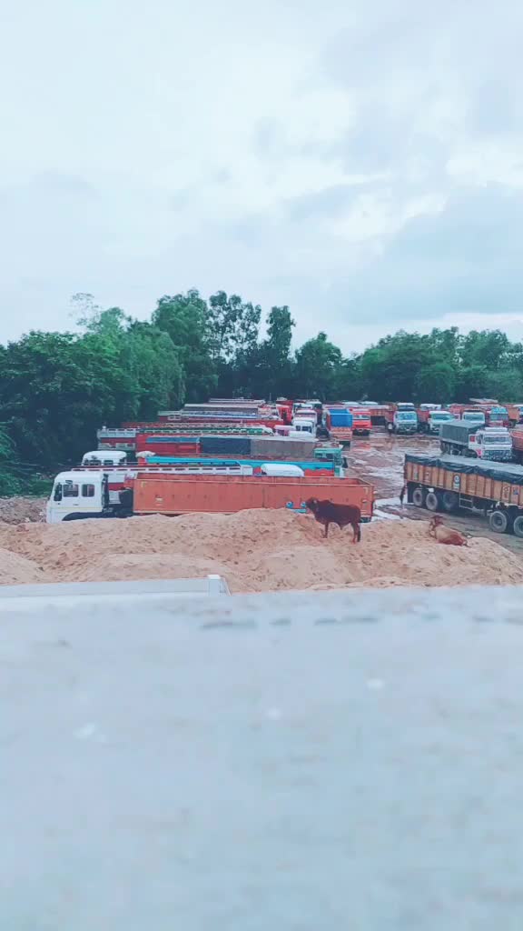 @TEAM 🇨🇮 RAJASTHANI