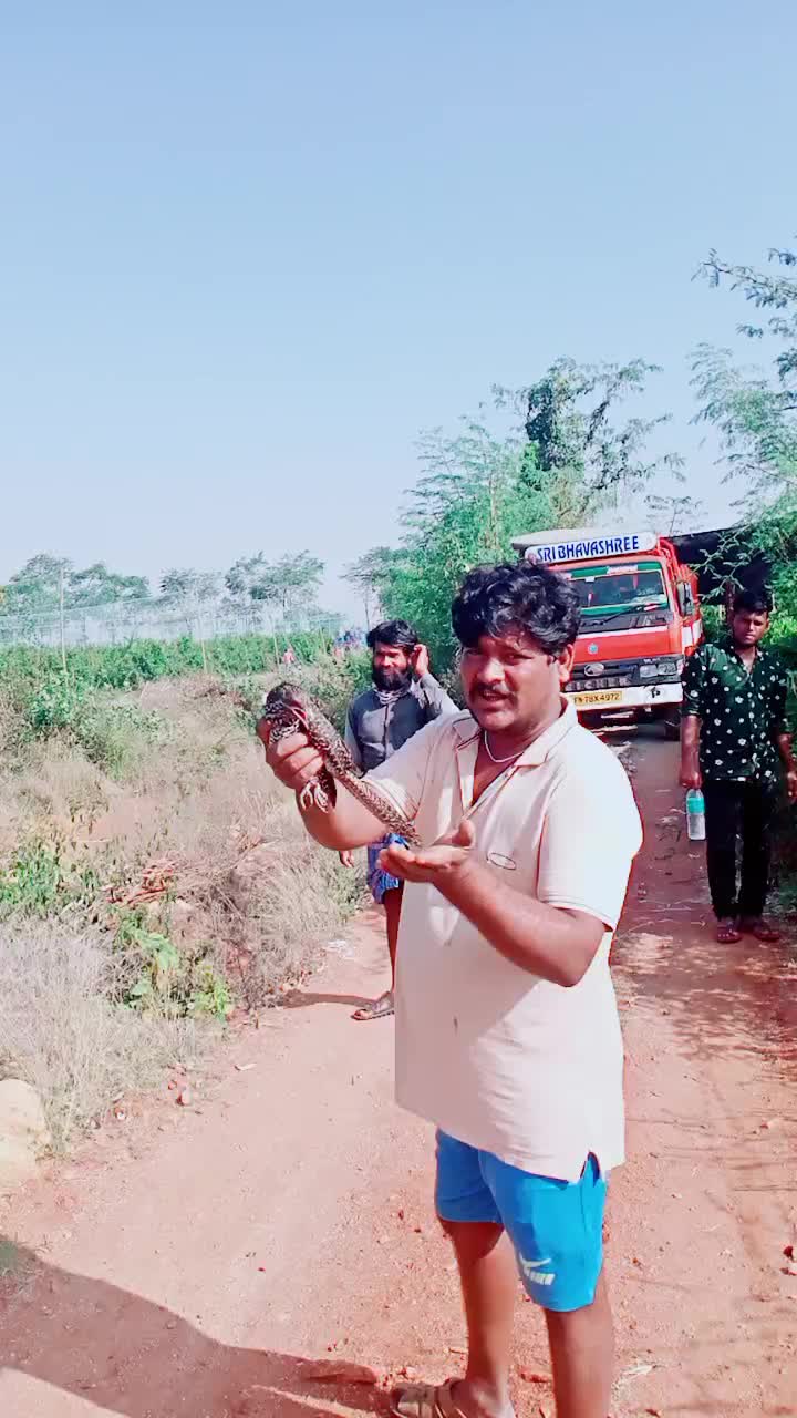 @user5617717866213