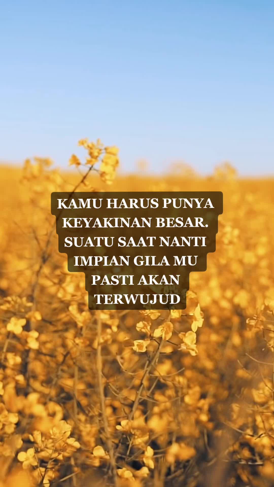 @CincinWanita