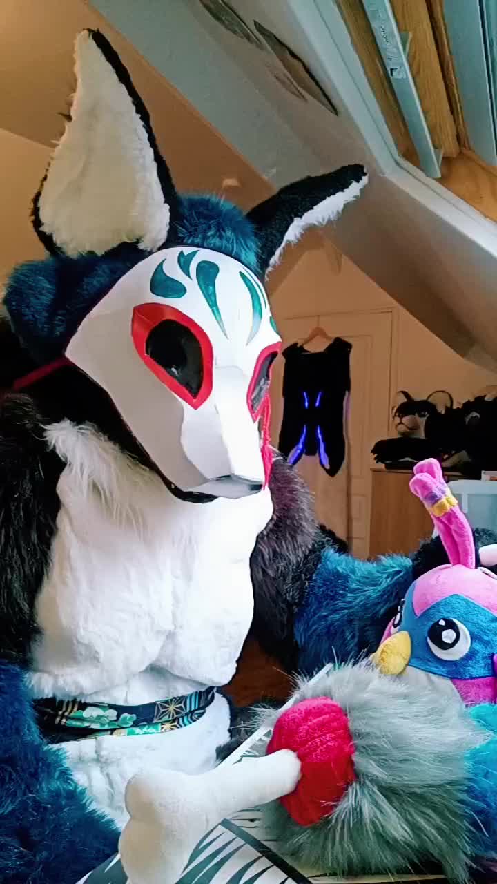 @KITJUNE