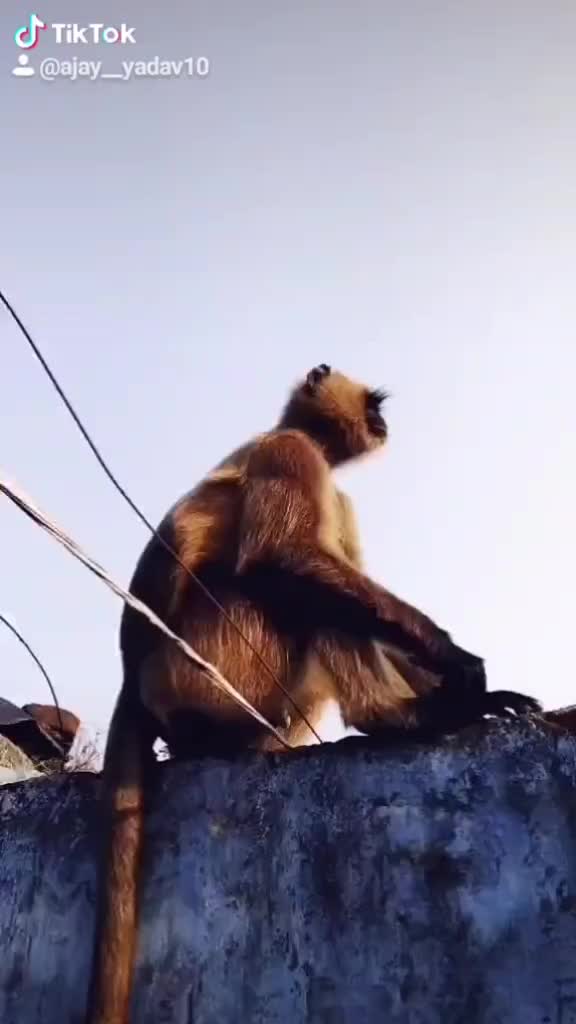 @꧁ঔৣ☬𝓐𝓳𝓪𝔂☬ঔৣ꧂