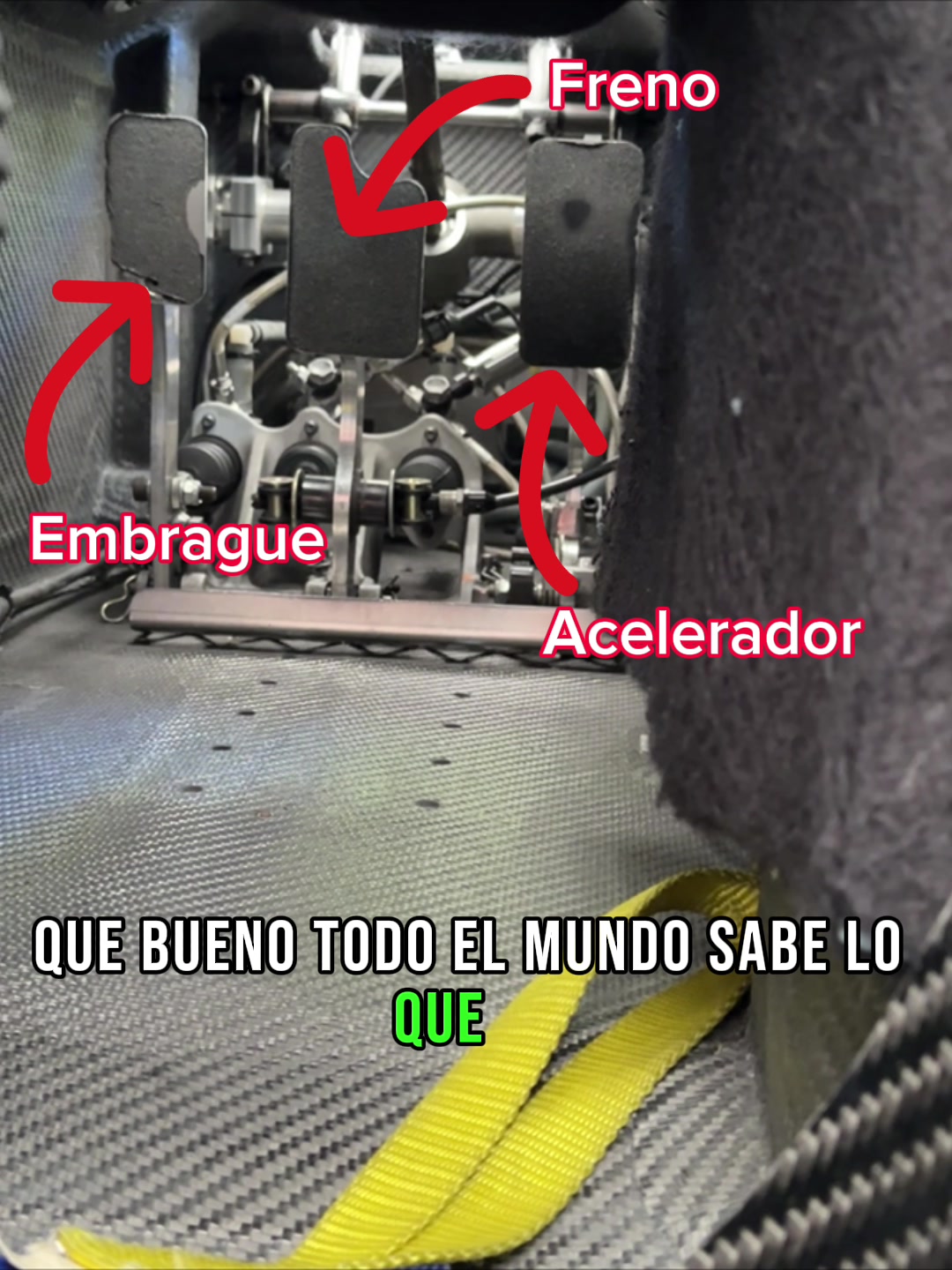 @Frank Porté