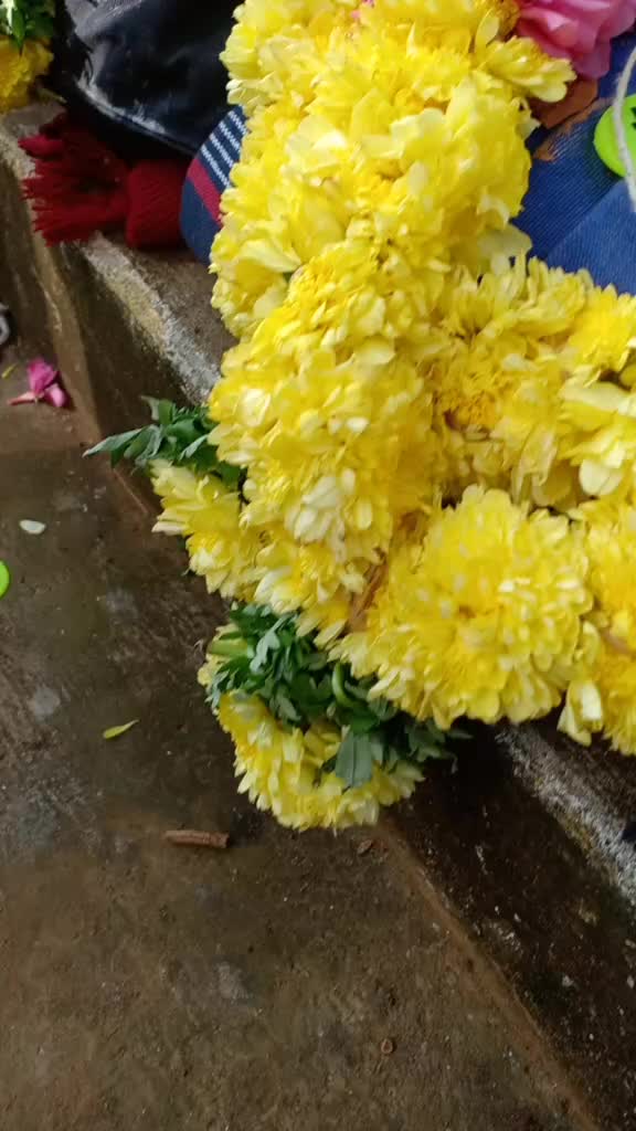 @surendar