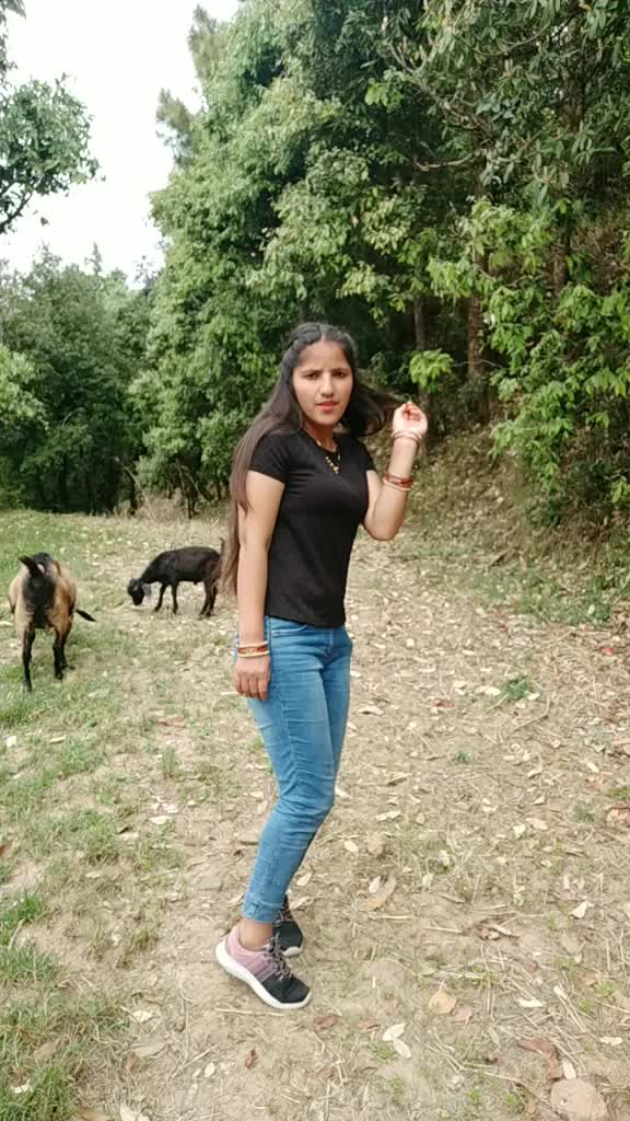 @phadichori