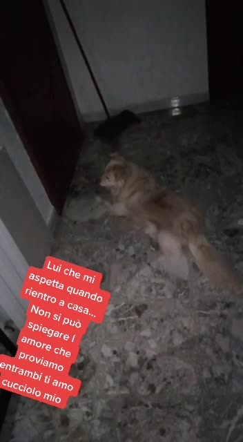 @Monica&Ale