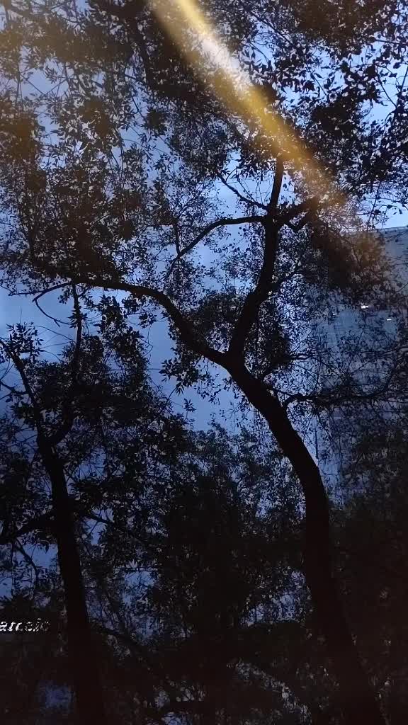 @repartiendoarte0