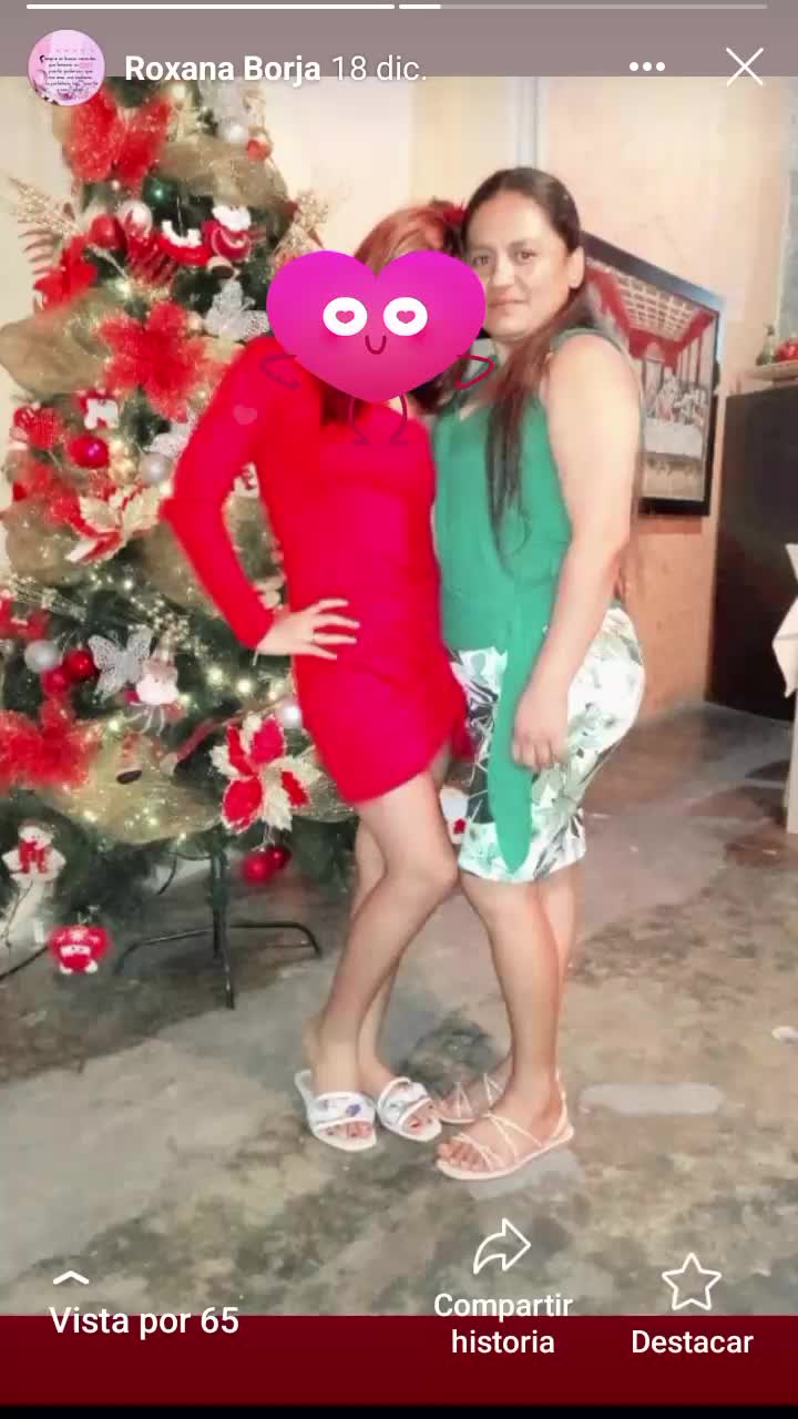@roxanaborja51
