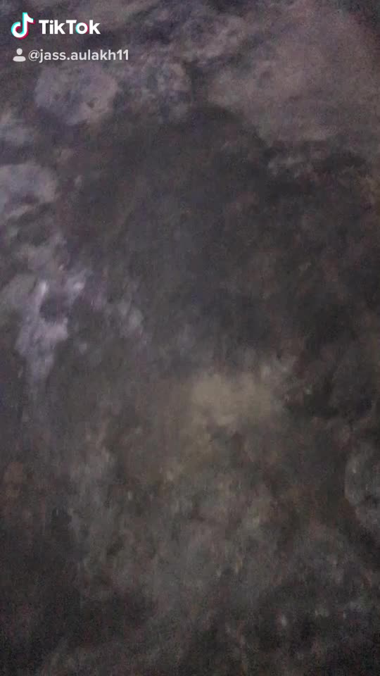 @jassaulakh65