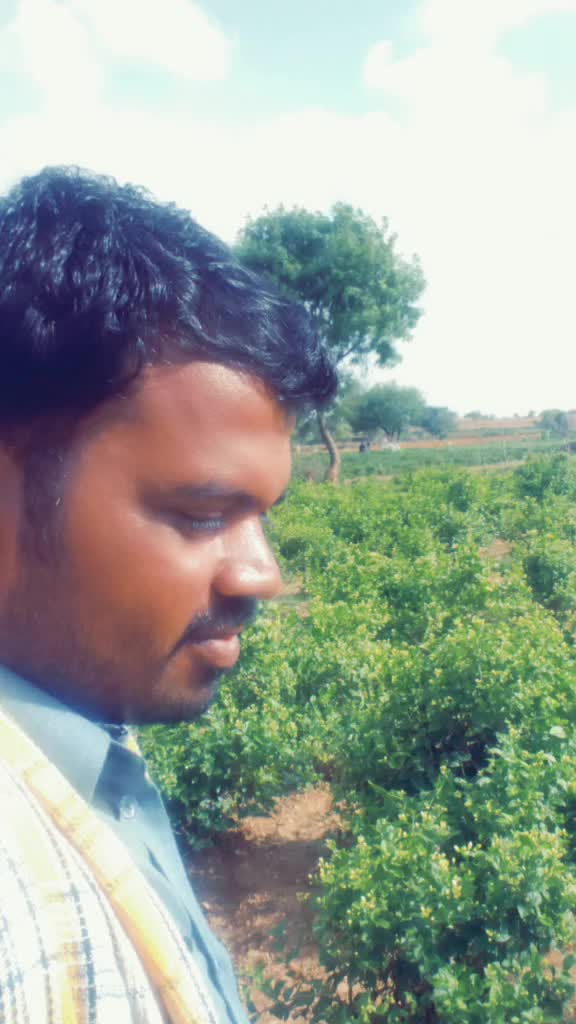 @Nagaraj Dollin
