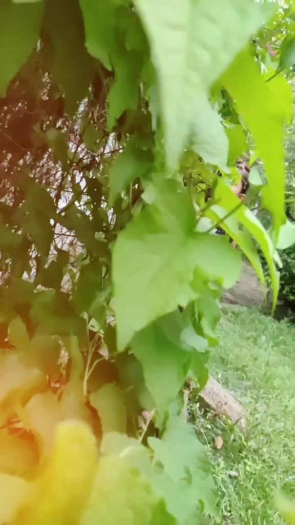 @കള്ളന്റെ😲നാട്ടുകാരൻ