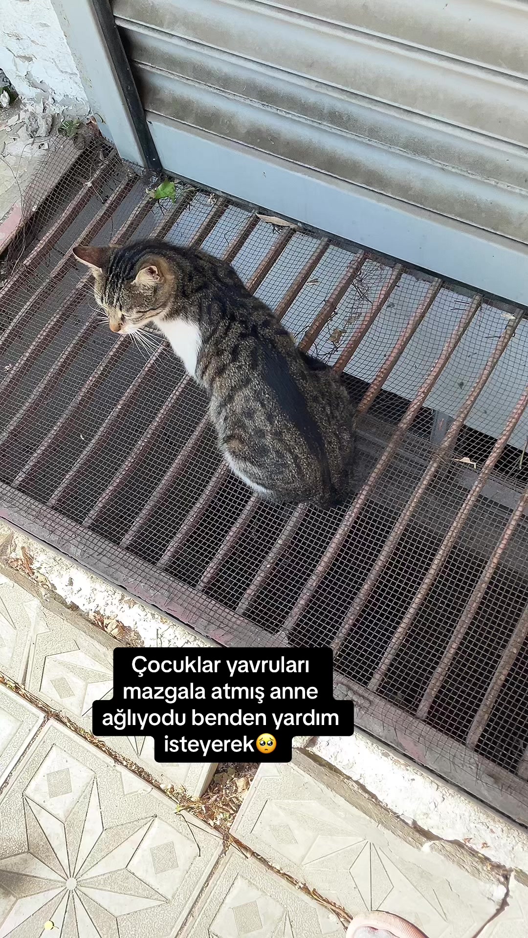 @Yesiminpatileri61