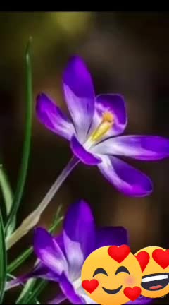 @ANIL KUMAR