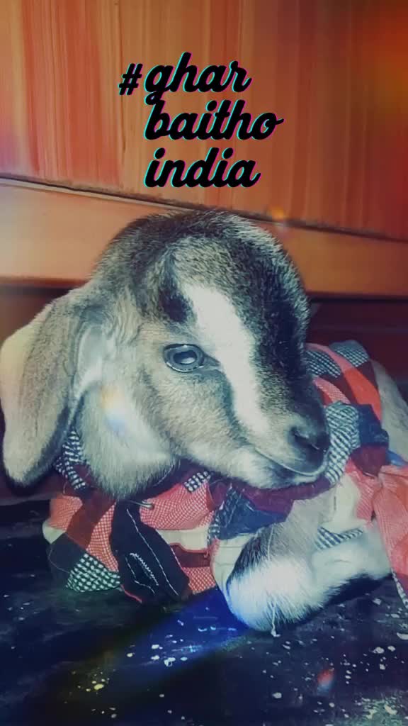 @@Himadridas