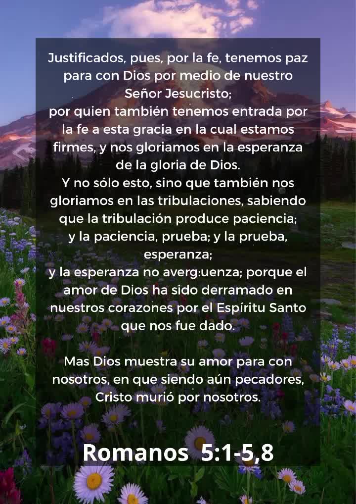 @Vicayquipa