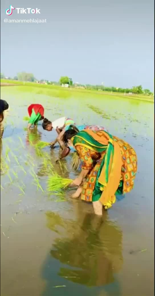@Gurdit Singh3253