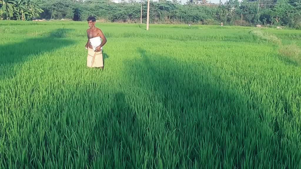 @senthamizh selvan
