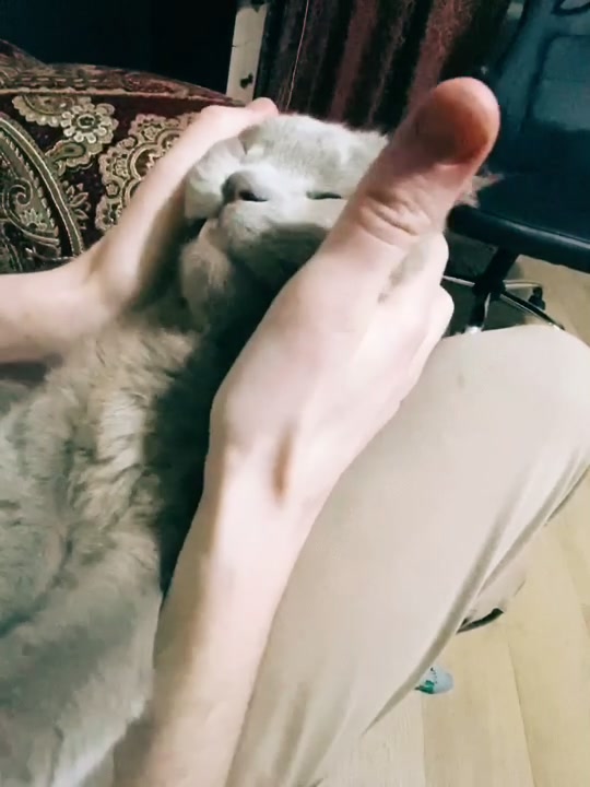 @Мир наизнанку