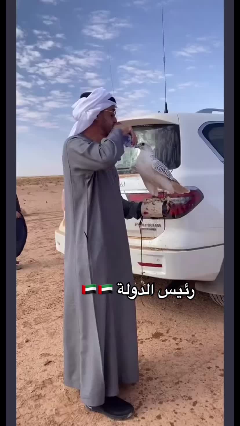 @عبدالله السفاح الشمري