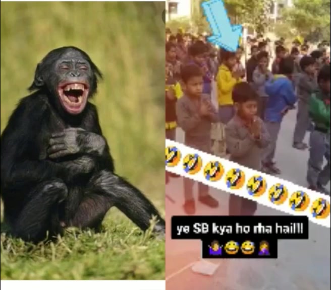 @Rohit Kashyap