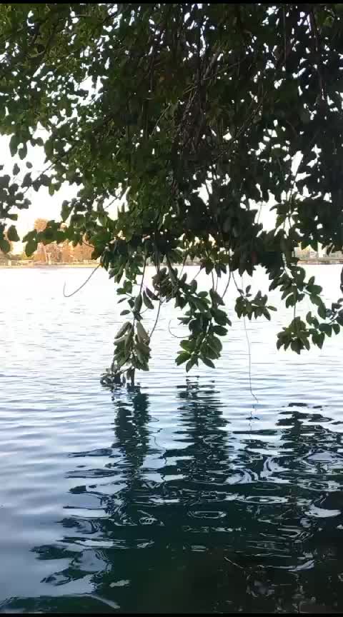 @꧁♡دمــًًًًــعـــــة حـٓٓــزن♡꧂