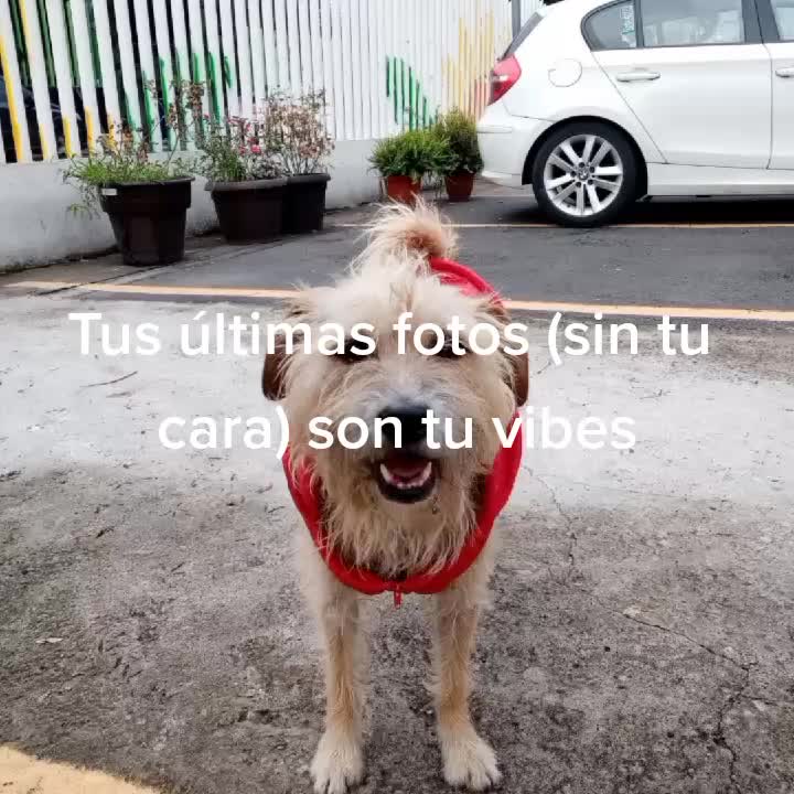 @Draco