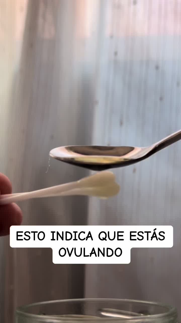 @Sebas Reino