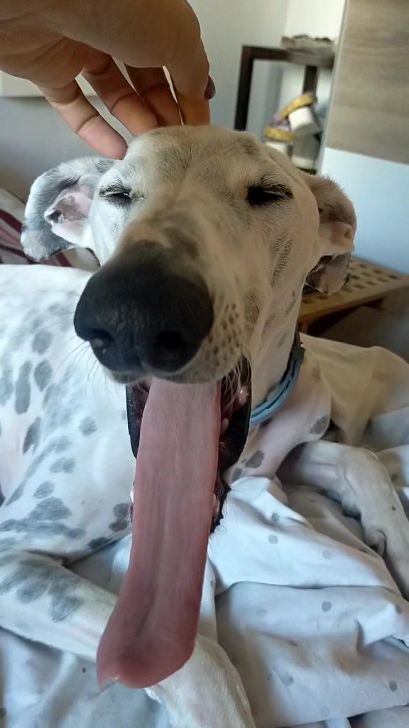 @Maximoypunto