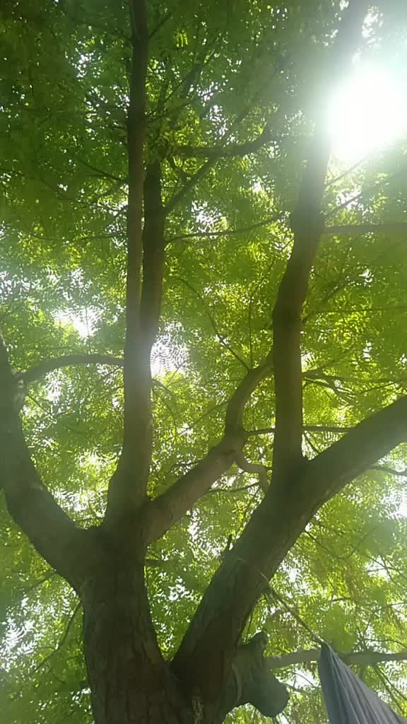 @Bunny Akhil.