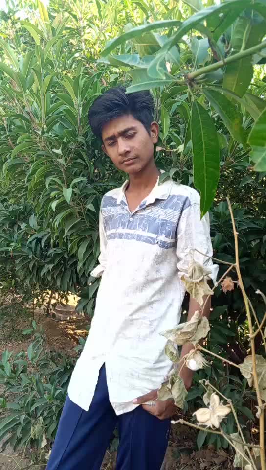@Mayank Mali
