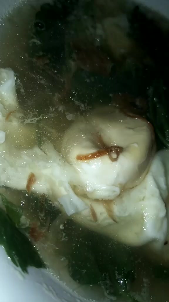 @Ayu
