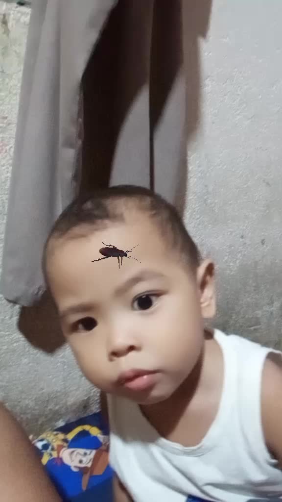 @andiepalaypayon